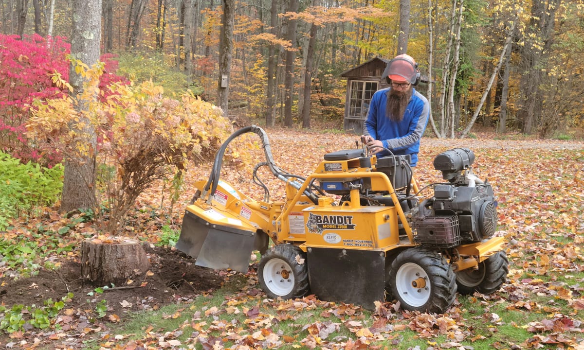Grinding Gears operator running a stump grinder through a tree stump in a wooded Vermont yard in autumn
